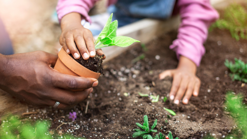 A father and daughter garden together.