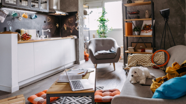 A cozy apartment that feels well lived in with lots of pillows and objects about.