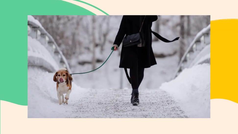 A person in a black coat walks a dog on an icy bridge