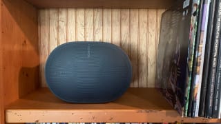 The Sonos Era 300 on a wooden bookshelf with records leaning next to it.