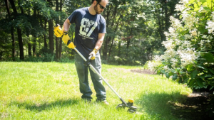 A person clears a lawn with a weed wacker.